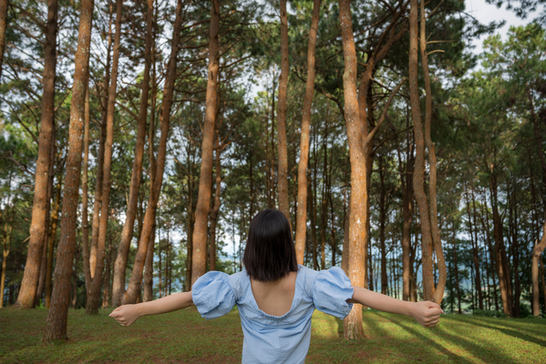 Das Bild zeigt eine junge Frau von hinten, die die Arme ausgestreckt hat und vor einem beeindruckenden Wald mit vielen Bäumen steht, als ob sie die Stimmung und Atmosphäre genießt.