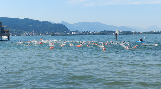 Die Sportstrategie wurde im Stadtrat beschlossen. © Schwimmclub Bregenz 