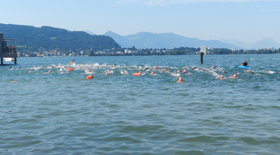 Die Sportstrategie wurde im Stadtrat beschlossen. © Schwimmclub Bregenz 