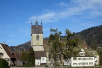 Stadtpfarrkirche St. Gallus - frisch renovierter Barock